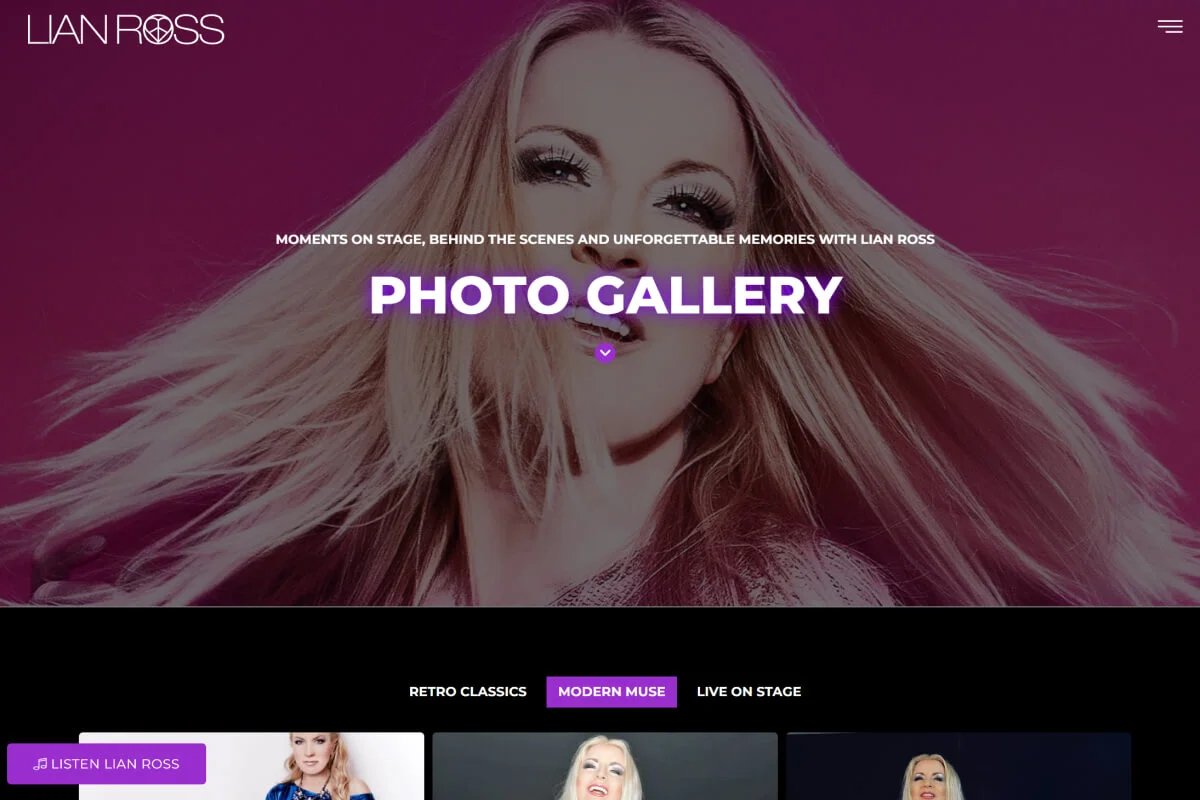 Diseño web para artistas musicales imagenes