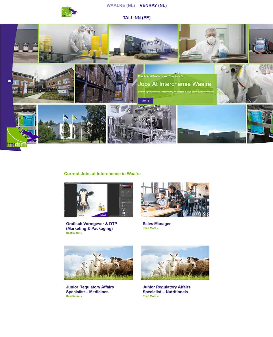 Rediseño web de empleo con problemas